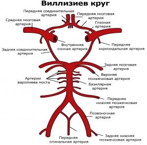 Виллизиев круг